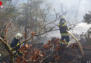 Stmk: Waldbrand im schwierigen Gelände bei Wies