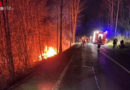Schweiz: Sportwagen ging bei Unfall in Flammen auf, zwei Verletzte