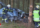 Oö: 17-Jähriger auf Spitztour gegen Baum gekracht → 15-jähriger Beifahrer getötet