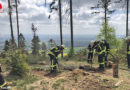 D: Kleinbrand mit guter Aussicht im Wiehengebirge