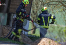 Oö: Brand in Hackschnitzellager in Hargelsberg