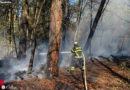 D: Brand in Herdecker Wald mit drei C-Rohren bekämpft