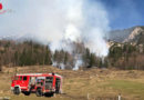 Tirol: Waldbrand im Naturschutzgebiet Kaiserbachtal durch Abbrennen eines Reisighaufens