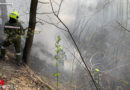 Bgld: 100 Kräfte bekämpften Waldbrand in Marz