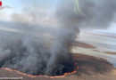 Bgld: Hunderte Hektar brennendes Schilf am Neusiedler See → Black-Hawks im Einsatz → Detailbericht