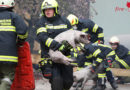 Oö: 16 Wehren bekämpfen Bauernhaus-Großbrand in Offenhausen → rund 150 Schweine tot