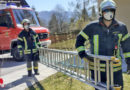 Nö: Feuerwehr in Ramsau lockt Katze vom Baum