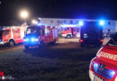 Oö: 60 Schweine bei Brand in Steinhaus verendet