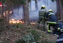 Nö: Osterfeuerholz-Brand und Wald brennt auf 400 m2 in Ternitz