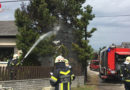 Nö: Baumbrand drohte auf Haus überzugreifen → Wagramer hielt Feuer in Schach