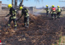 Nö: Feldbrand neben Wohngebäude in Waidhofen / Thaya