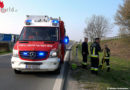 Nö: Feuerwehr rettet Biber auf der Autobahnauffahrt