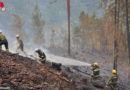 Ktn: Waldbrand Bad Eisenkappel Tag 2 → 37 Feuerwehren bekämpfen Feuer