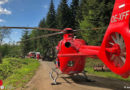 Nö: Personenrettung nach Reitunfall im Waldgebiet