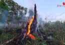 D: Mehrere Feuer im Hämelerwald Wald → 150 Kräfte eingesetzt