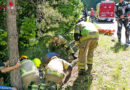 Vbg: Biker kommt auf falsche Seite und kracht gegen Baum → tot