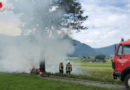 Schweiz: Pkw zerschellt an Baum und brennt: 26-Jähriger tot