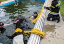 Stmk: 600 Kilo schwere Kuh aus Pool in Apfelberg befreit