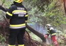 Smk: Unwetter-Einsätze im Raum Graz-Umgebung am 28. Juni 2020