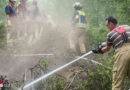 D: Waldboden-Feuer auf 100 m2 in Menden → zweistündiger Einsatz