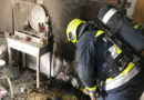 Ktn: Schlange, Papagei und Hase bei Wohnungsbrand in Villach gerettet