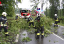 Bgld: Baum blockiert Landesstraße in Pinkafeld