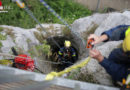 D: Uhu mit viel Aufwand durch Feuerwehr und THW aus Burgbrunnen in Bad Segeberg gerettet