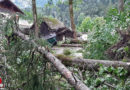 Oö: Hagel-Unwetter am 1. Juli 2020 verwüstet Teile von Bad Goisern