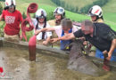 Tirol: Kalb auf der Alm in Jauchegrube gestürzt → Tierrettung in Kirchdorf