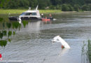 Oö: Segelflieger in Linz in Donau gestürzt → Pilot schwer verletzt