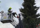 Villach: Unkraut verbrannt → 20 m hoher Fichte in Villach hartnäckigen Brand verpasst