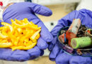 Forscher recyceln Akkus mit Orangenschalen