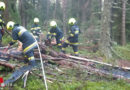 Ktn: Beginnender Waldbrand durch Blitzschlag am Pleschutz in Althofen