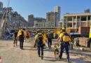 Libanon: @fire-Rettungsteam sucht nach Mega-Explosion in Beirut nach Verschütteten