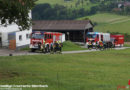 Nö: Person bei Astschneidearbeiten in Biberbach verletzt