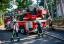 Nö: Feuerwehr muss Gefahrenbaum in Bad Vöslau entfernen