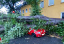 D: Lokales Unwetter über dem Süden Dortmunds am 11. August 2020