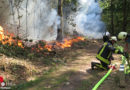 D: Erneuter Waldbrand im Bereich von Selfkant