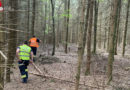 Oö: Suchaktion nach Schwammerl-Pflückerin in Tarsdorf