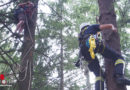 Nö: Übung der Waidhofener Höhenretter →  Fallschirmspringer im Baum