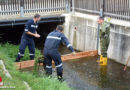 Nö: Dammschutz als Schulungsthema bei der Feuerwehr Groß Siegharts