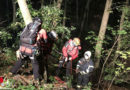 Nö: Feuerwehr in Gumpoldskirchen übt mit Bergrettung den Waldbrandeinsatz