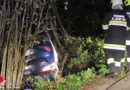 Ktn: Wildwechsel führte zu schwerem Verkehrsunfall in St. Jakob im Rosental