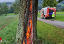 Oö: Baum brennt nach Blitzschlag im Inneren