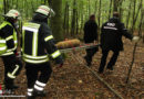 D: Feuerwehr transportiert entschärfte Splitterbombe aus dem Wald