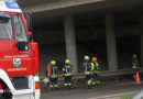 Oö: Feuerwehr muss wegen zwei Kübel Mais auf Fahrbahn ausrücken