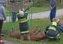 Oö: Pferd mit Kranunterstützung aus Straßengraben gerettet