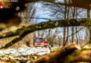 Oö: Baum stürzt auf wegen Hagel und Starkregen angehaltenes Auto → Personenrettung