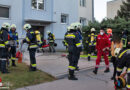 Nö: Wohnungsbrand mit einer verletzten Person in Bad Vöslau