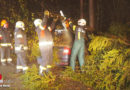 Oö: Pkw kracht in Mauerkirchen gegen Baum → Gewächs stürzt auf Auto